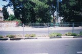 picture_   